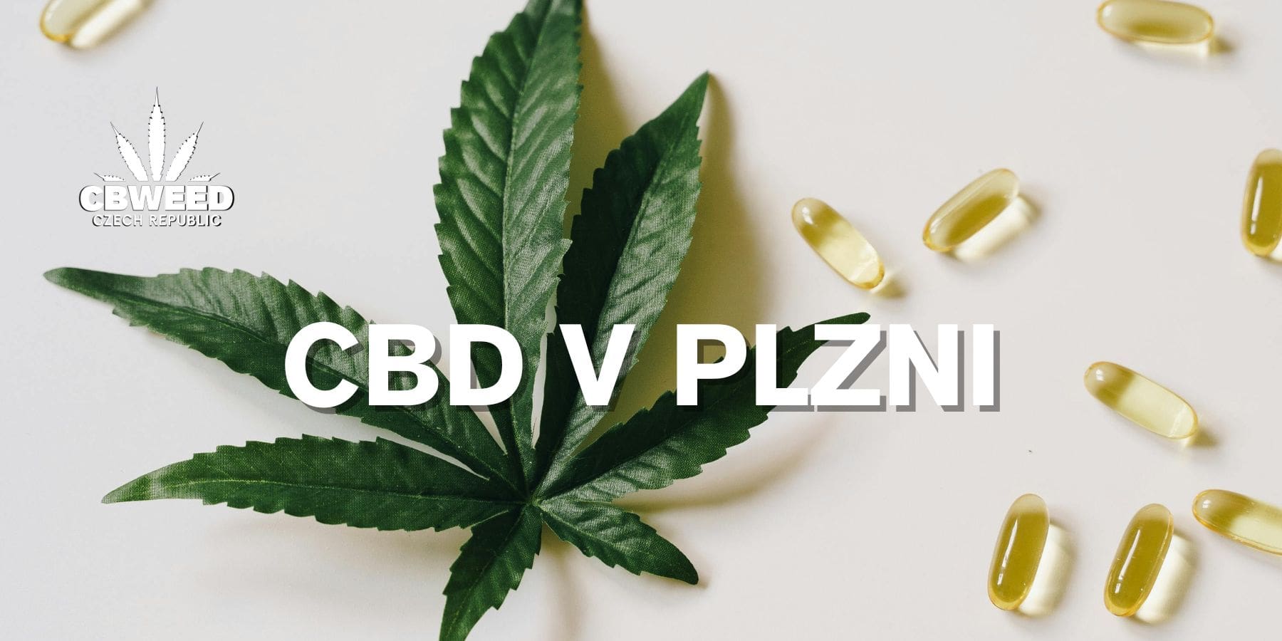 cbd plzen